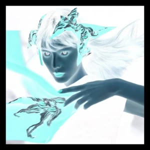 Case 1 - Inverted